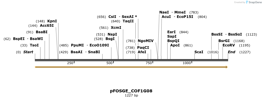 126976_map