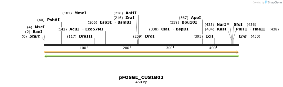 126979_map