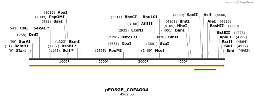 126980_map