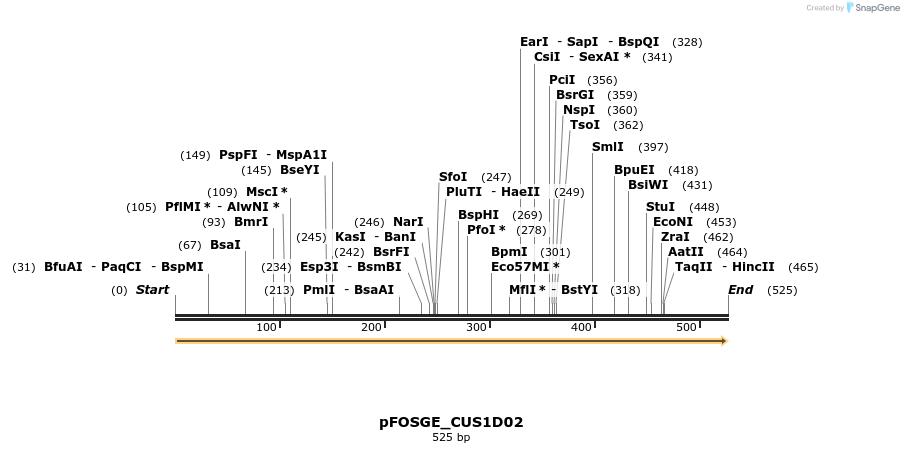 126981_map