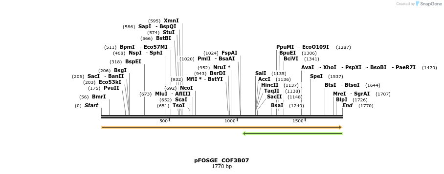 126982_map