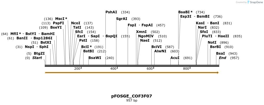 126983_map