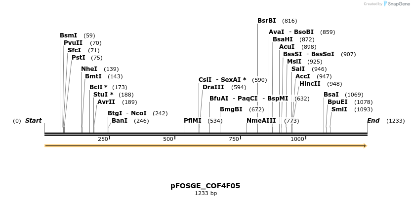 126985_map