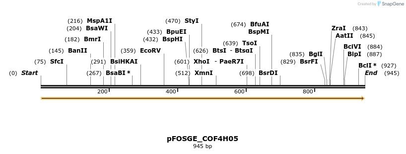 126987_map