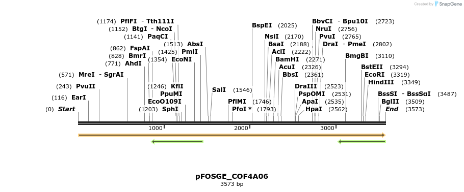 126988_map