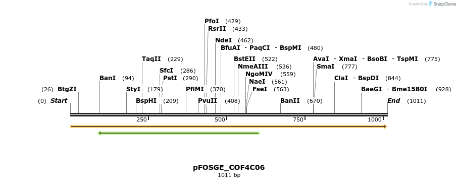 126989_map