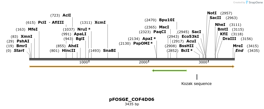 126990_map