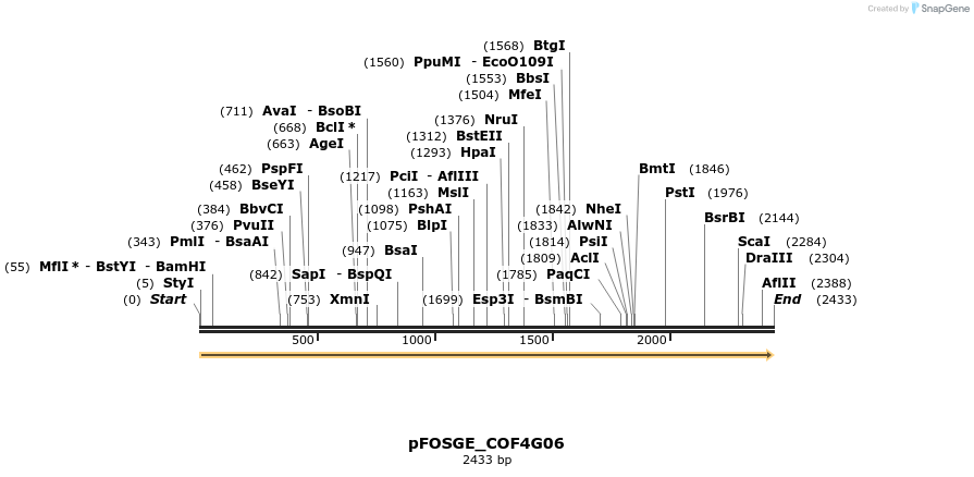 126992_map