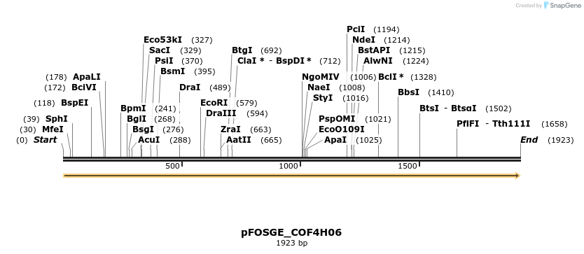 126993_map