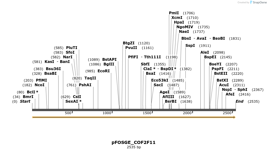 126994_map