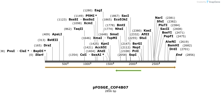 126995_map