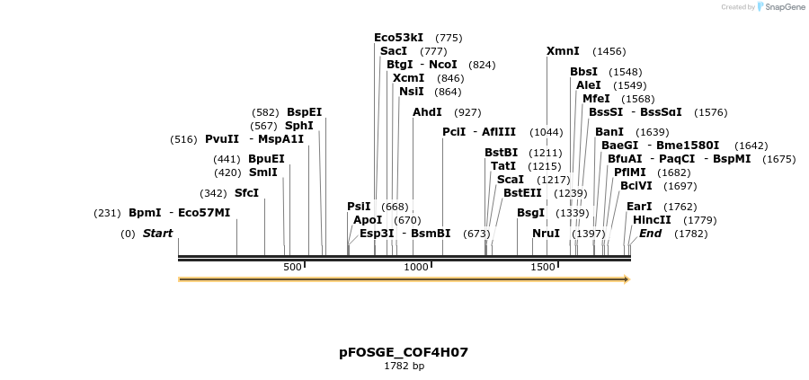 126999_map