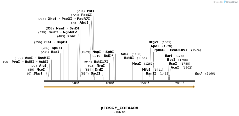 127000_map