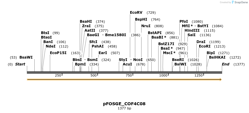 127001_map