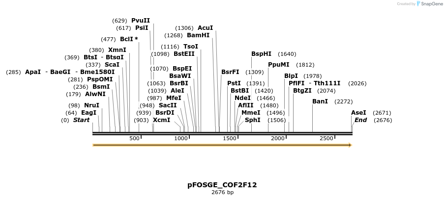 127002_map