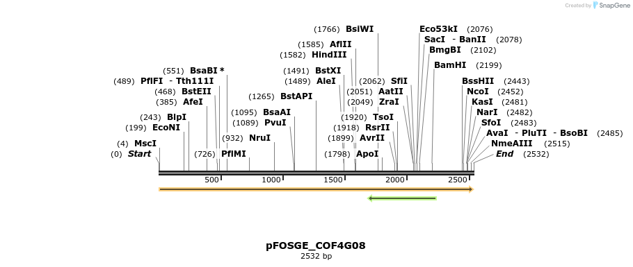 127004_map