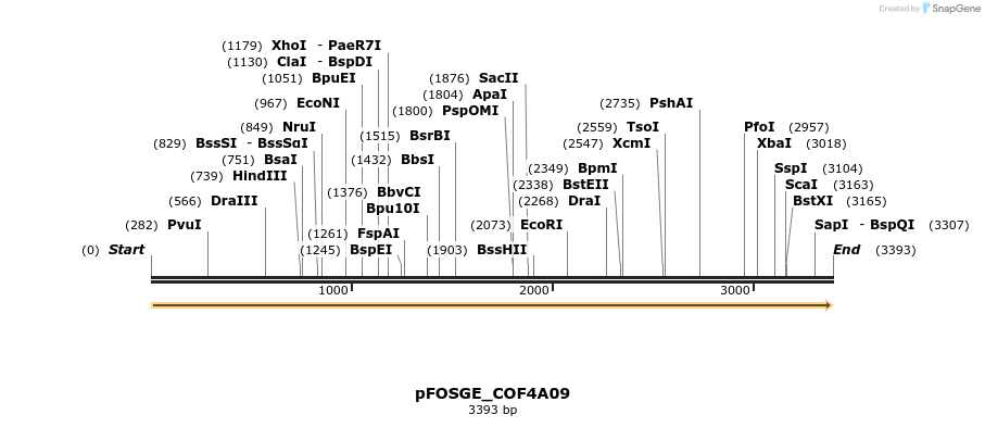 127005_map