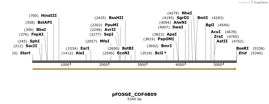 127006_map