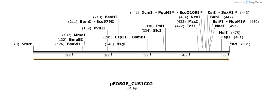 127011_map