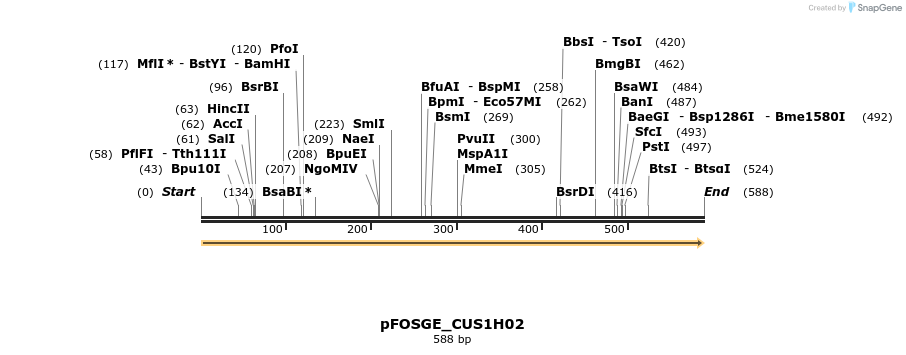 127012_map