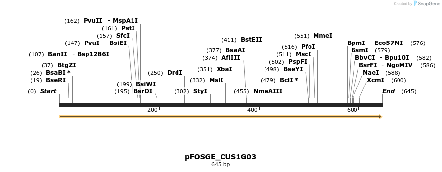 127014_map