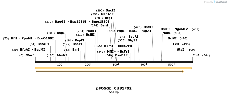 127015_map