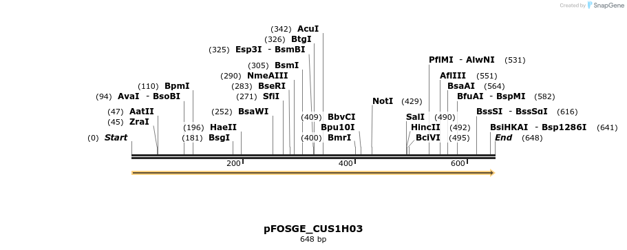 127017_map