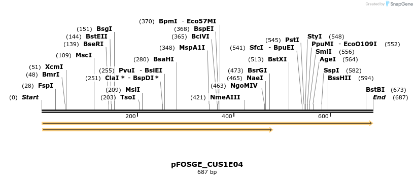 127018_map