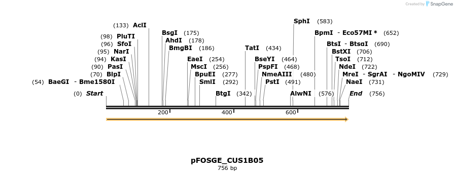 127019_map