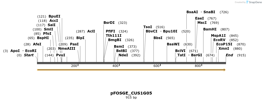 127020_map