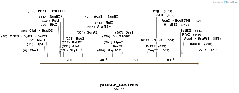 127021_map