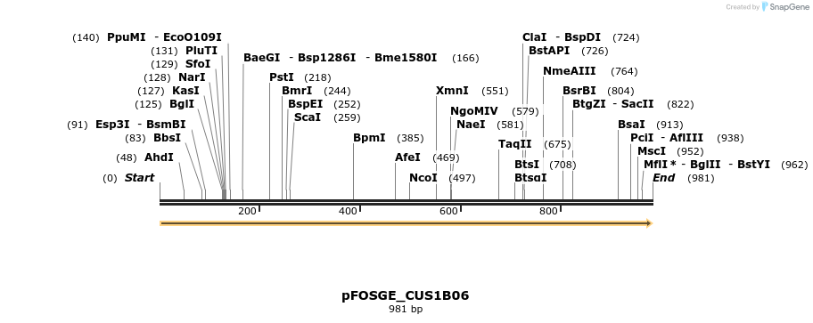 127022_map