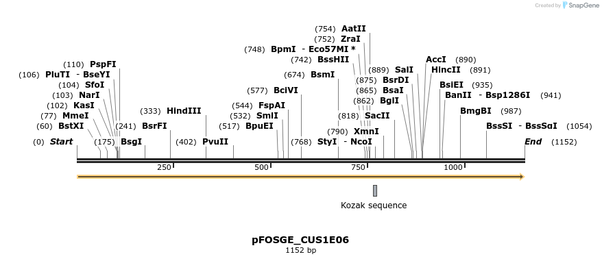 127023_map