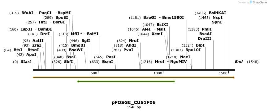 127024_map