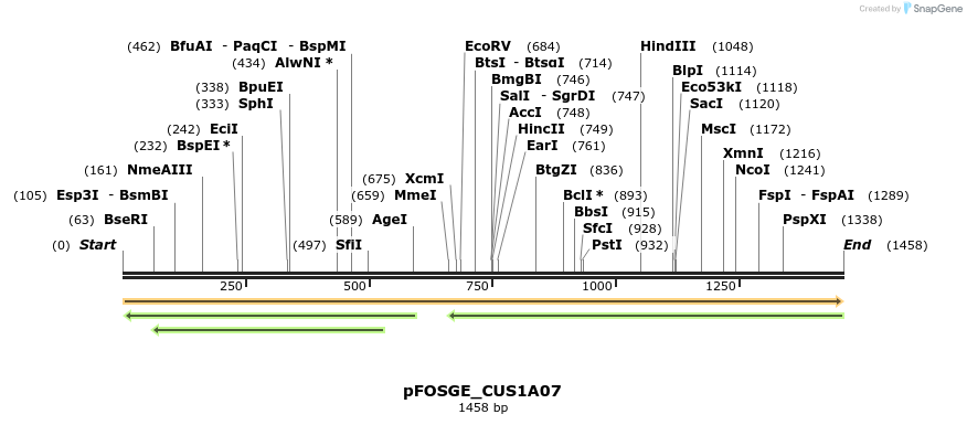 127025_map