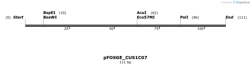 127026_map