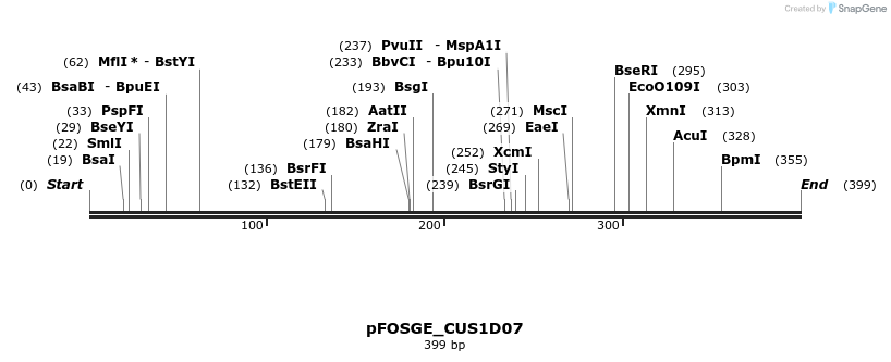 127027_map
