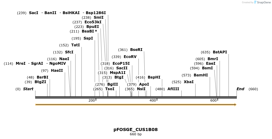 127029_map
