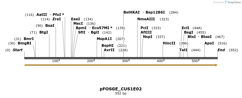 127033_map