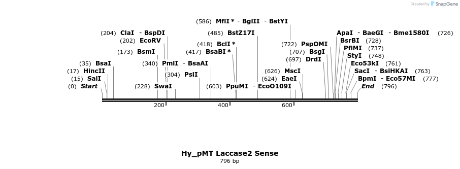 127034_map