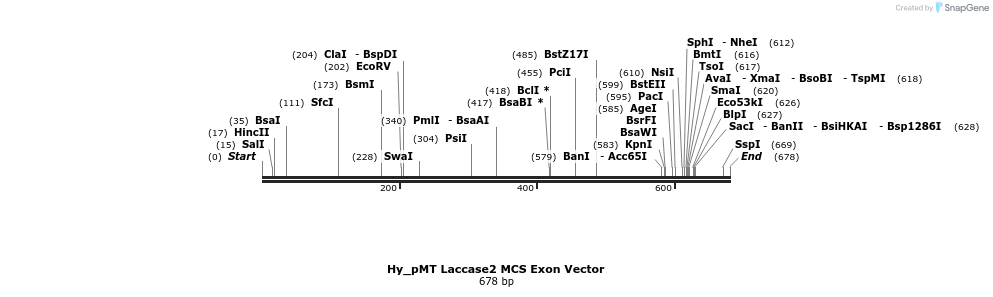 127036_map