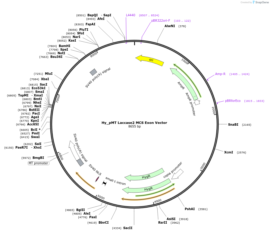 127037_map