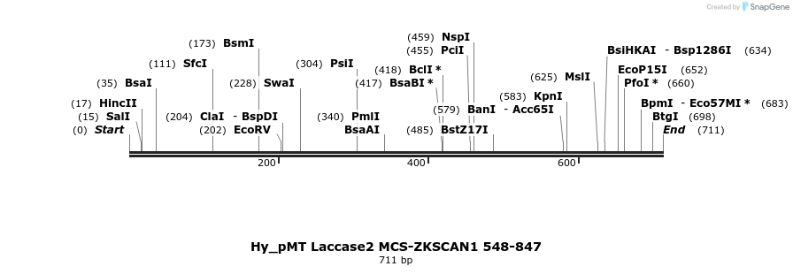 127040_map
