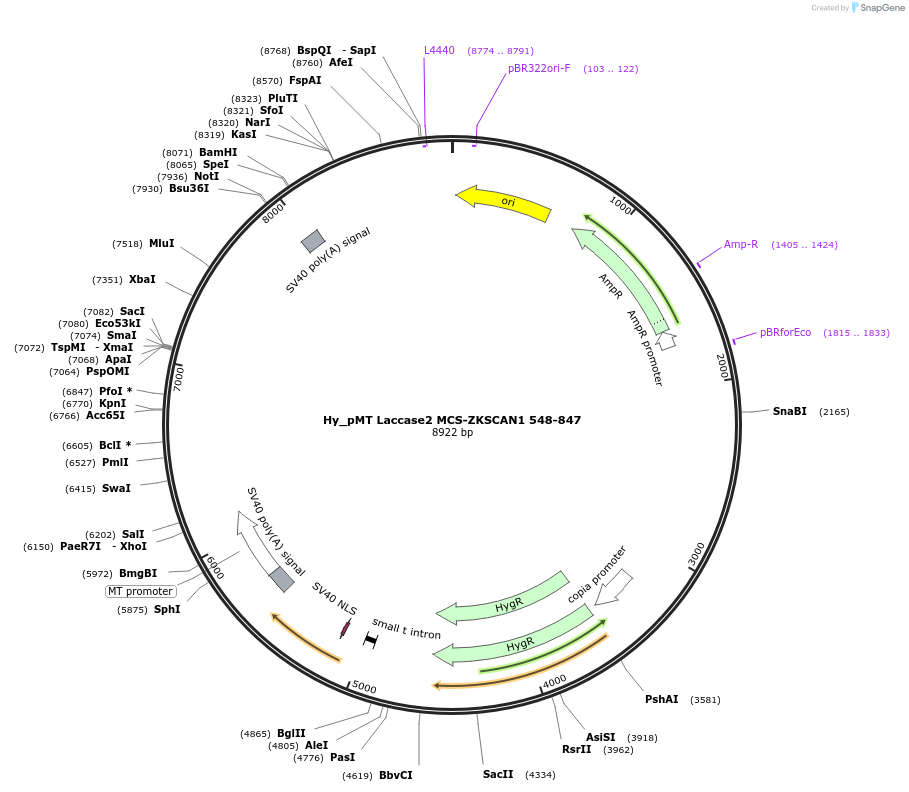 127042_map