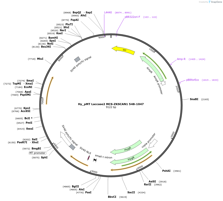 127045_map