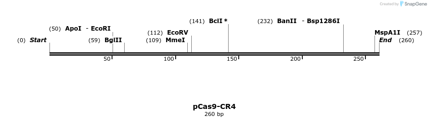 127046_map