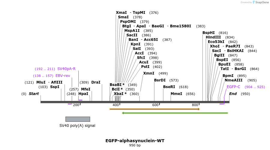 127050_map