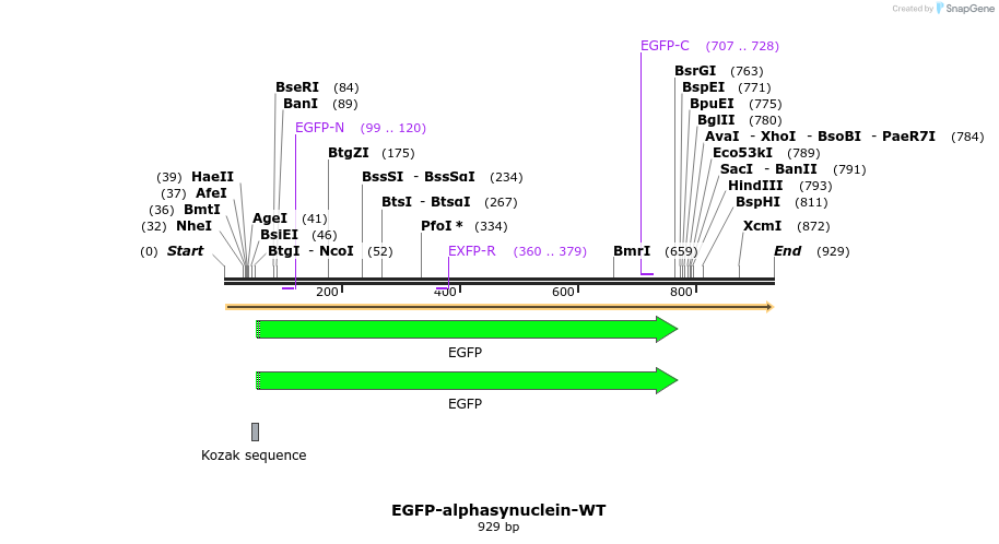 127051_map