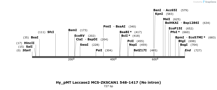 127053_map