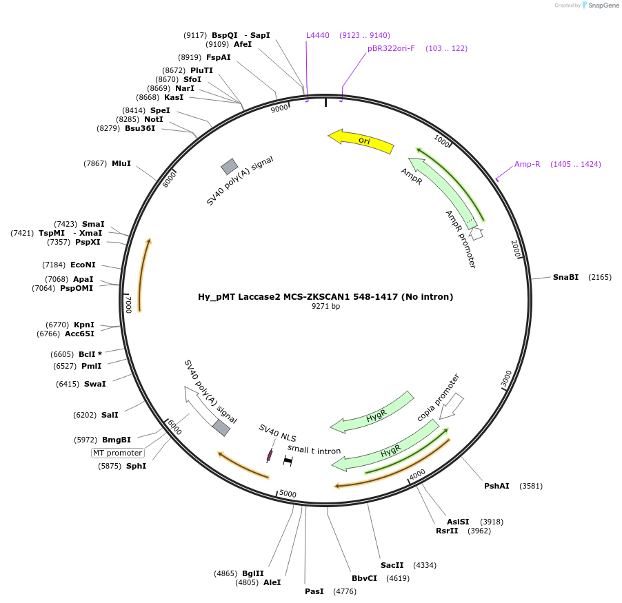 127054_map